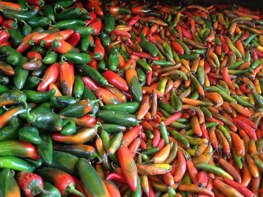 Chili