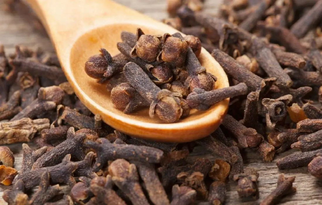 Clove