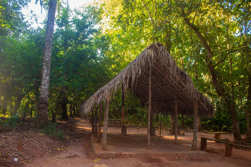 Spices at Siso Spice Farm